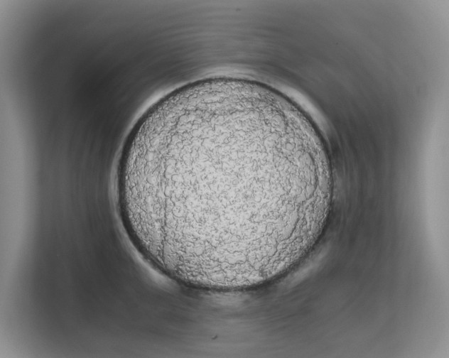 X0000111860999200908131455