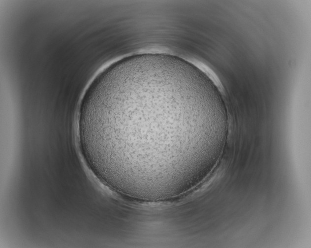 X0000111861000200908131455