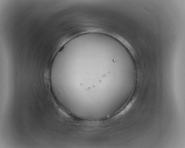 X0000111861001200908131455