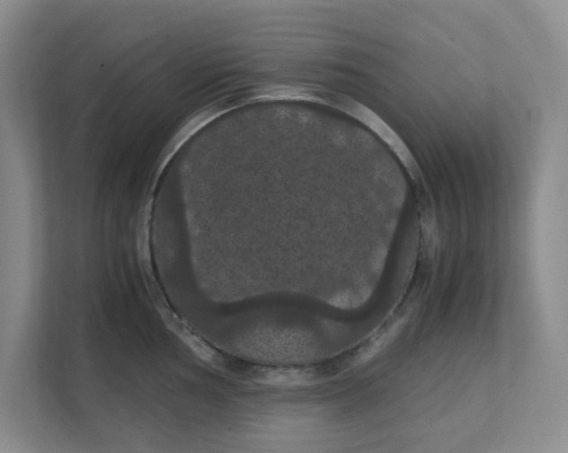 X0000111861002200908131455