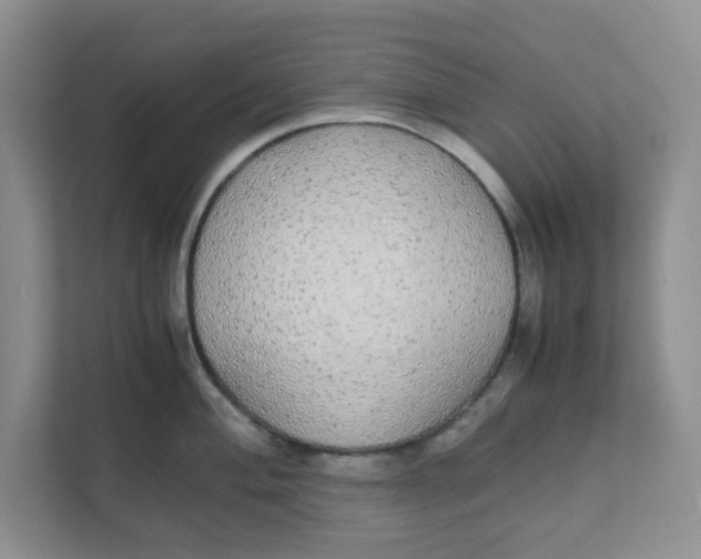 X0000111861004200908131455