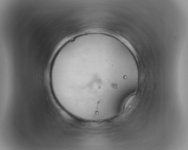 X0000111861005200908131455