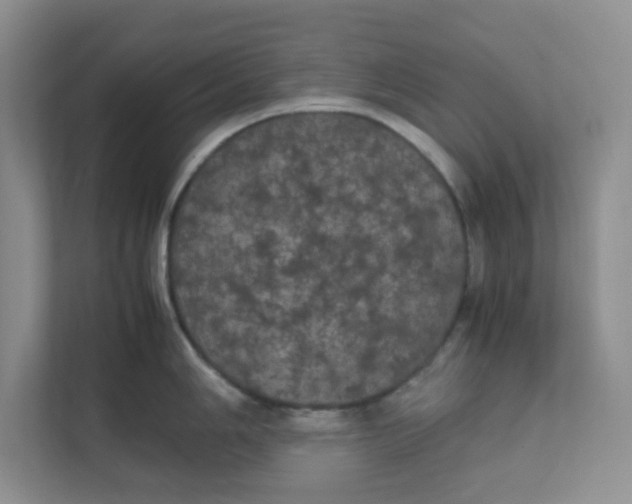 X0000111861006200908131455