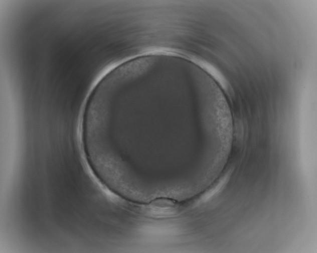 X0000111861007200908131455