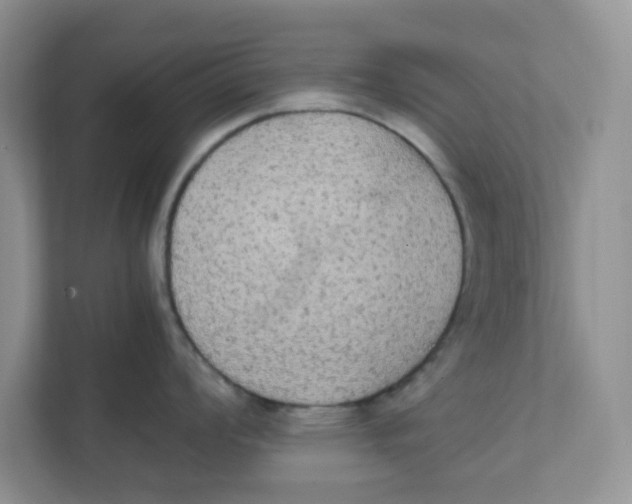 X0000111861008200908131455