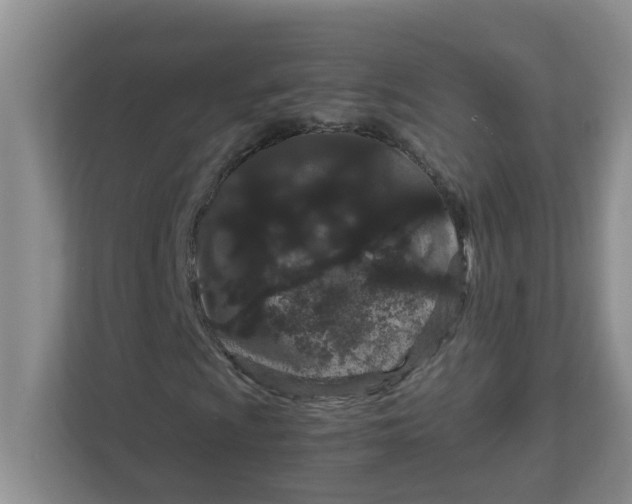 X0000111861009200908131455