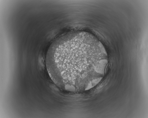 X0000111861010200908131455