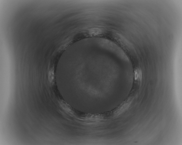 X0000111861011200908131455