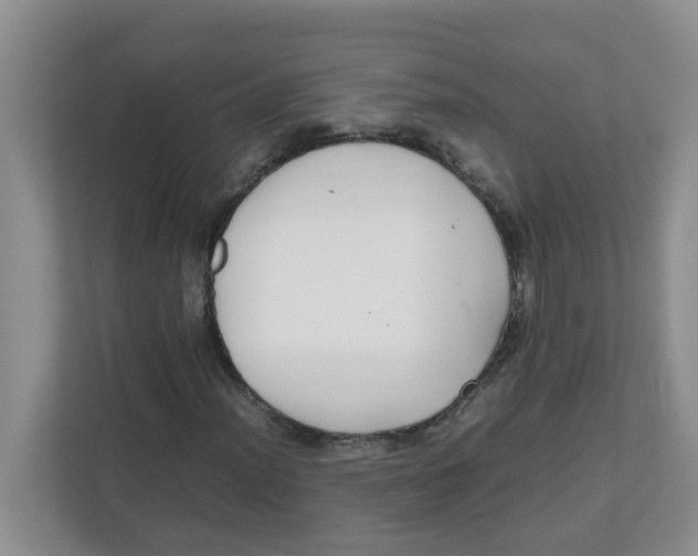 X0000111861012200908131455