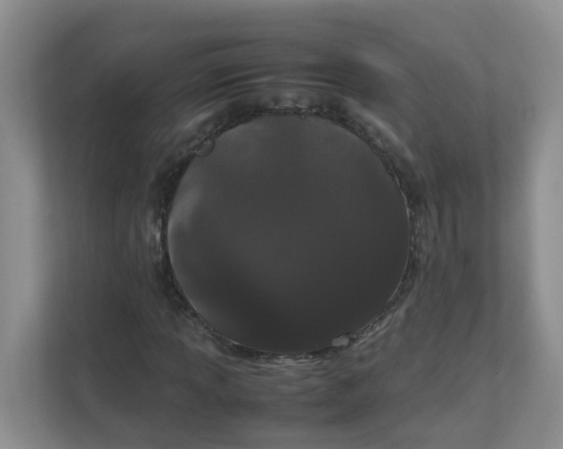 X0000111861013200908131455