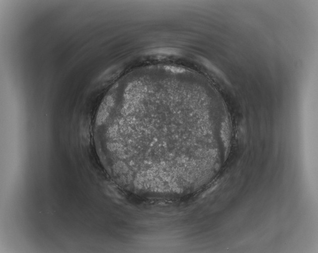 X0000111861014200908131455