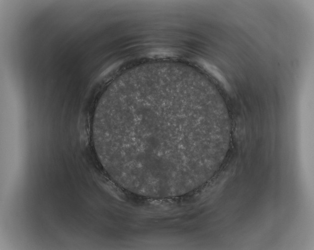 X0000111861015200908131455