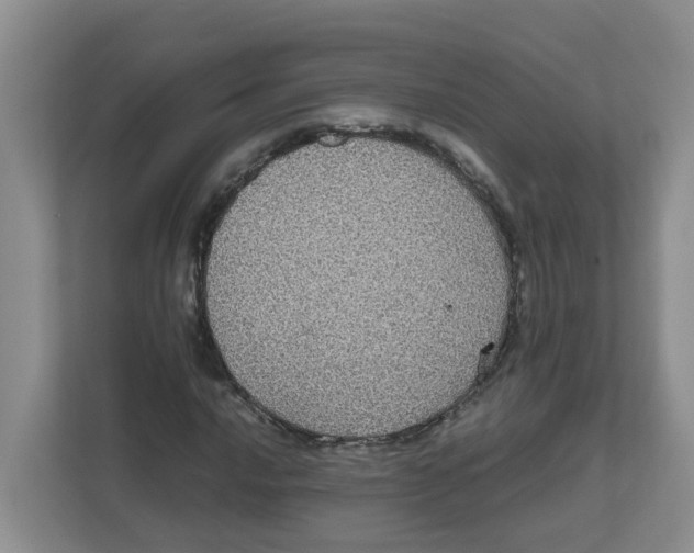 X0000111861016200908131455