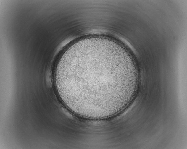 X0000111861018200908131455