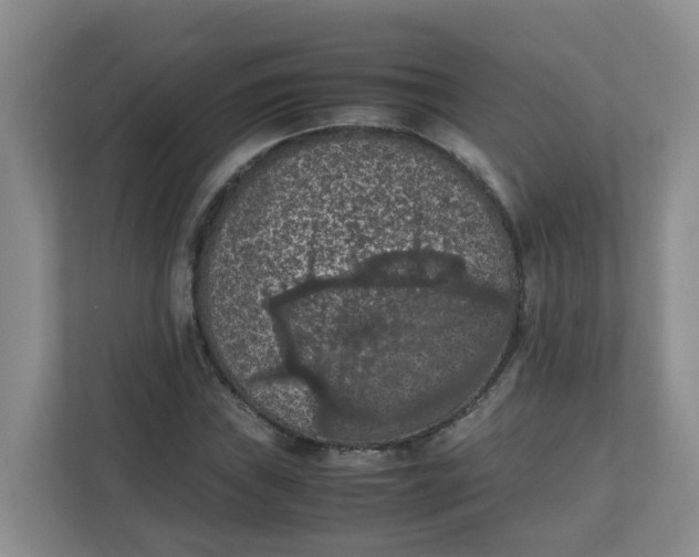 X0000111861019200908131455