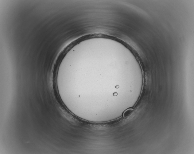 X0000111861020200908131455