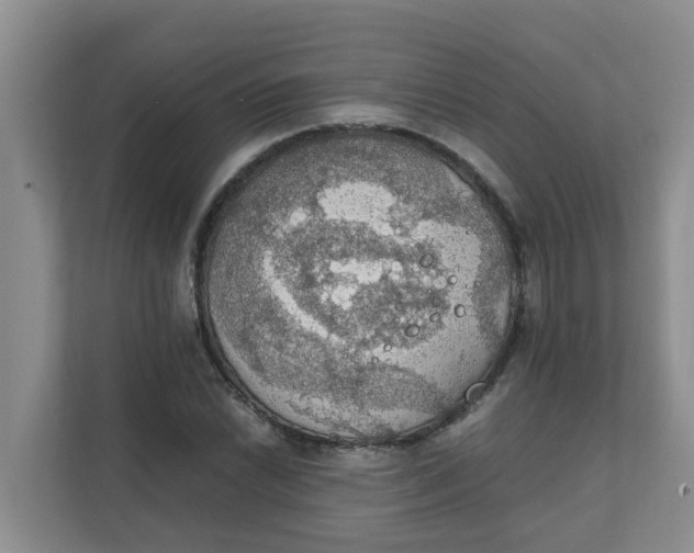 X0000111861022200908131455