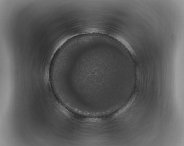 X0000111861023200908131455