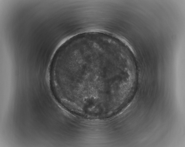 X0000111861024200908131455