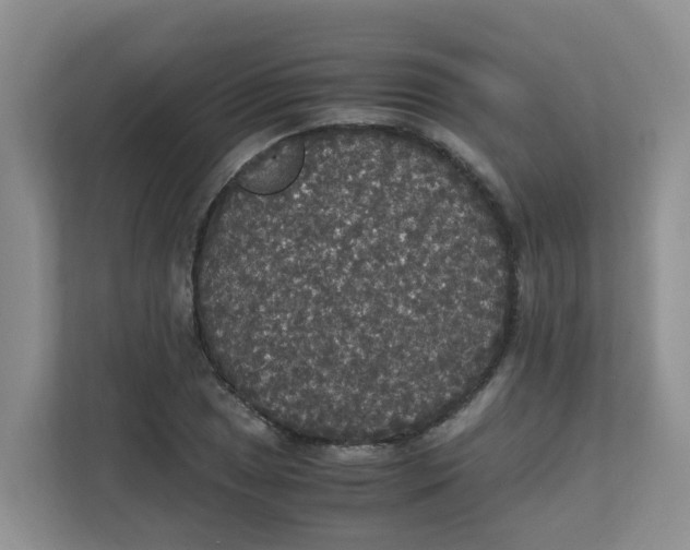 X0000111861025200908131455