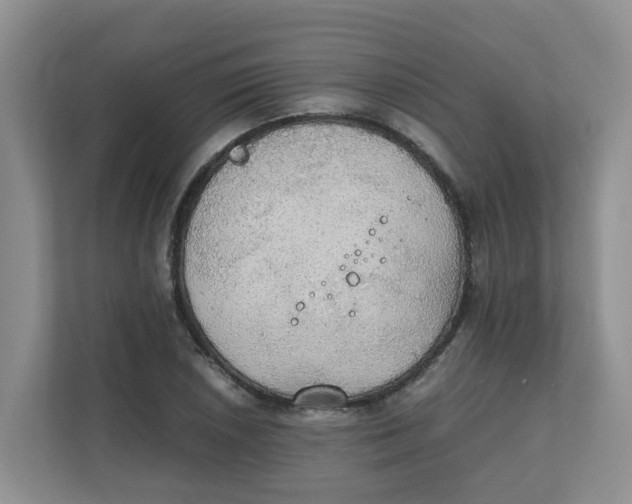 X0000111861026200908131455