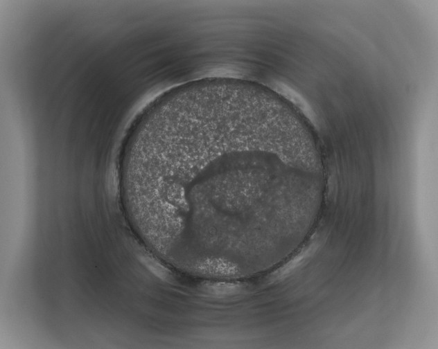 X0000111861027200908131455