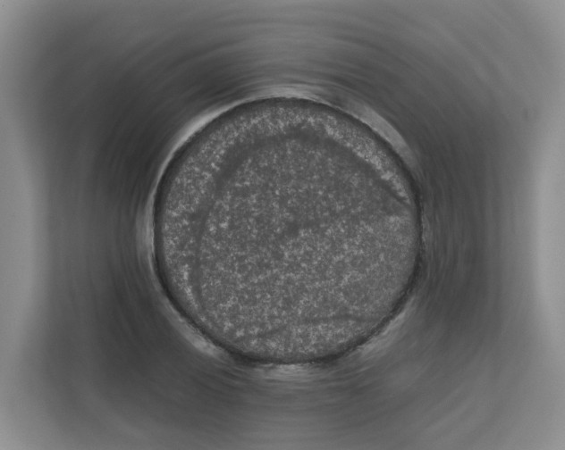 X0000111861028200908131455