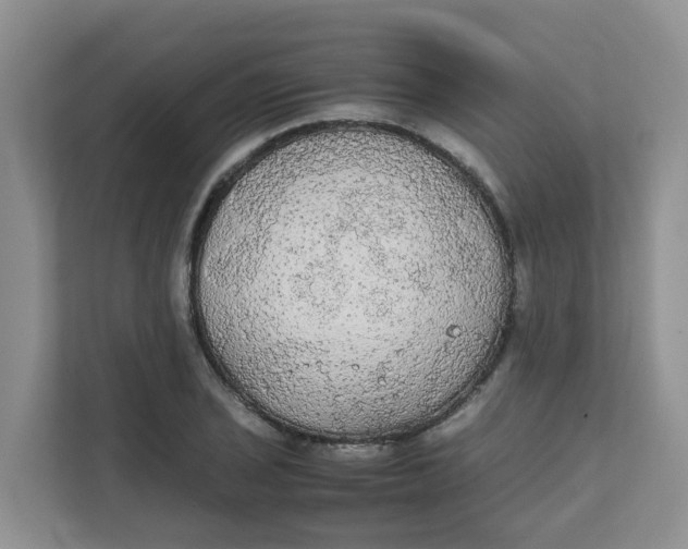 X0000111861029200908131455