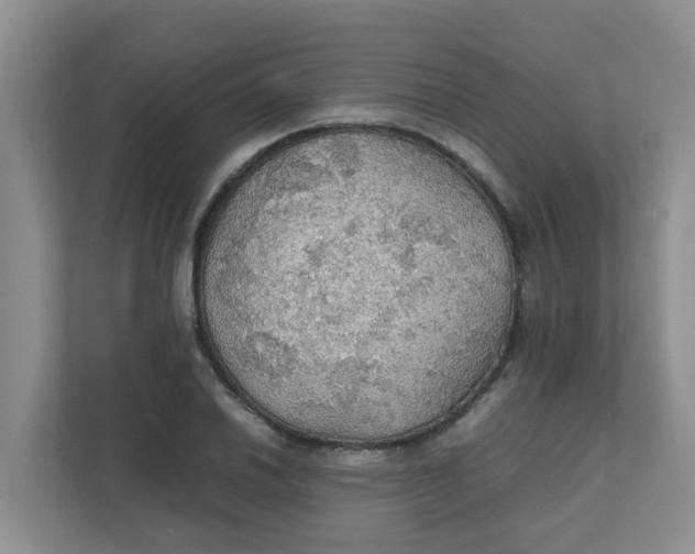 X0000111861030200908131455