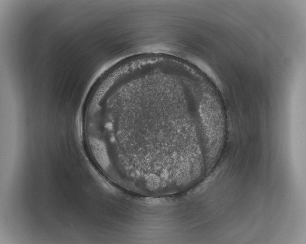 X0000111861032200908131455