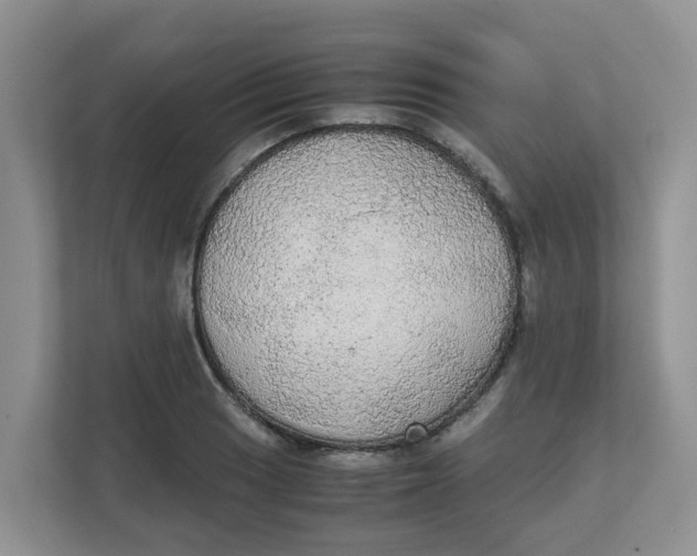 X0000111861033200908131455