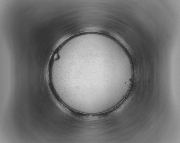 X0000111861034200908131455