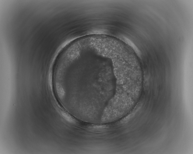 X0000111861035200908131455