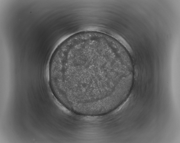 X0000111861036200908131455