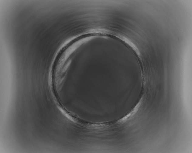 X0000111861037200908131455