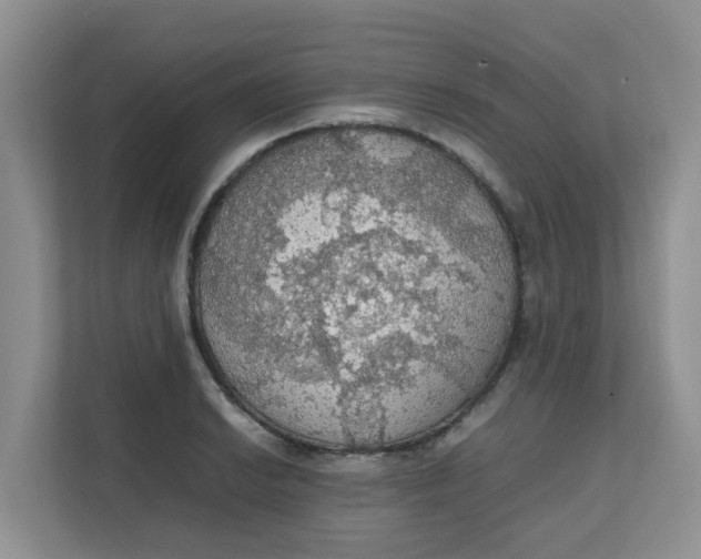 X0000111861038200908131455