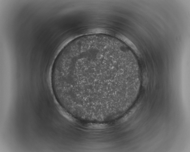 X0000111861039200908131455