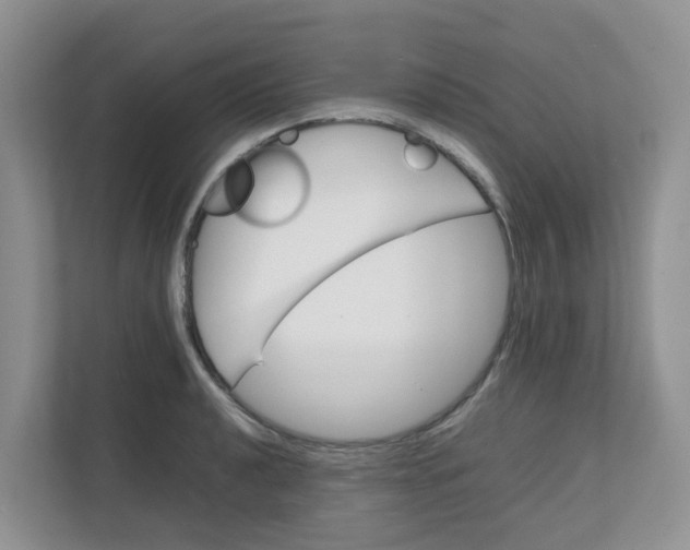 X0000111861040200908131455