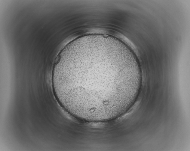 X0000111861041200908131455