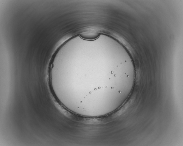 X0000111861042200908131455