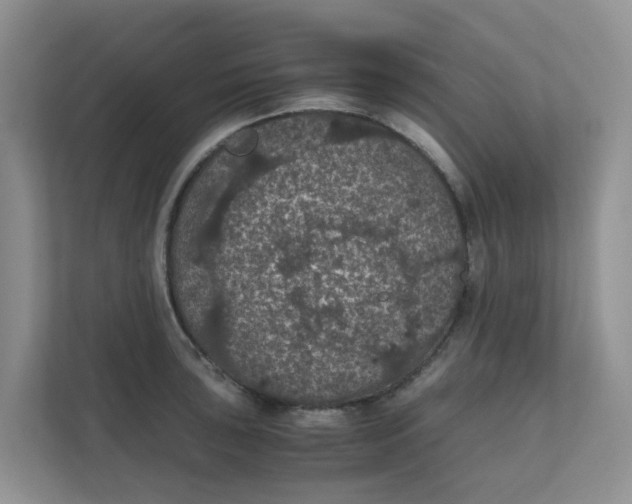 X0000111861043200908131455