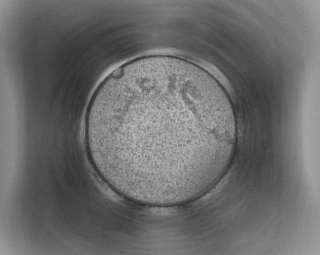 X0000111861044200908131455