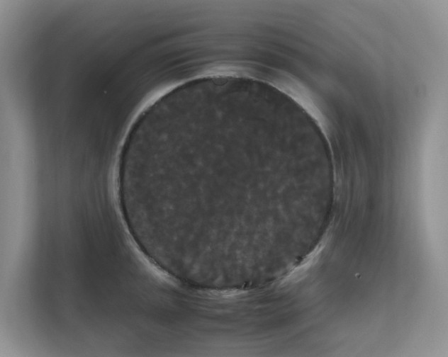 X0000111861045200908131455