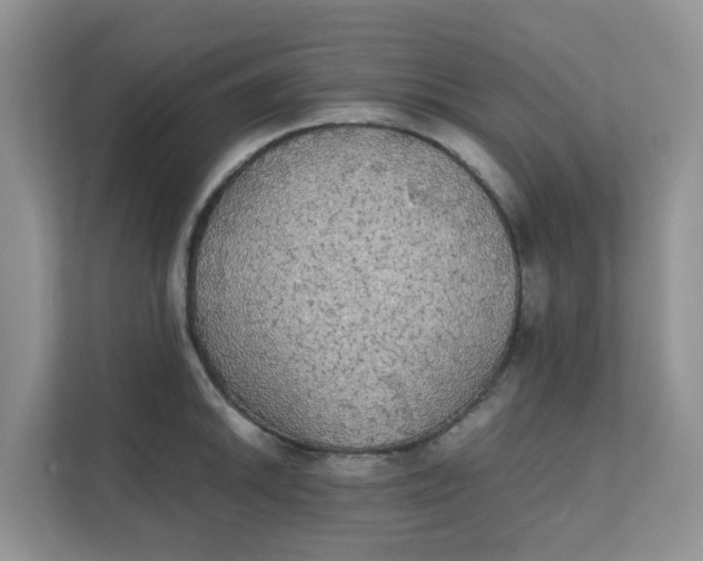 X0000111861046200908131455