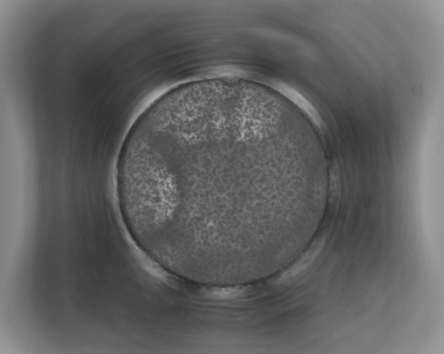 X0000111861047200908131455