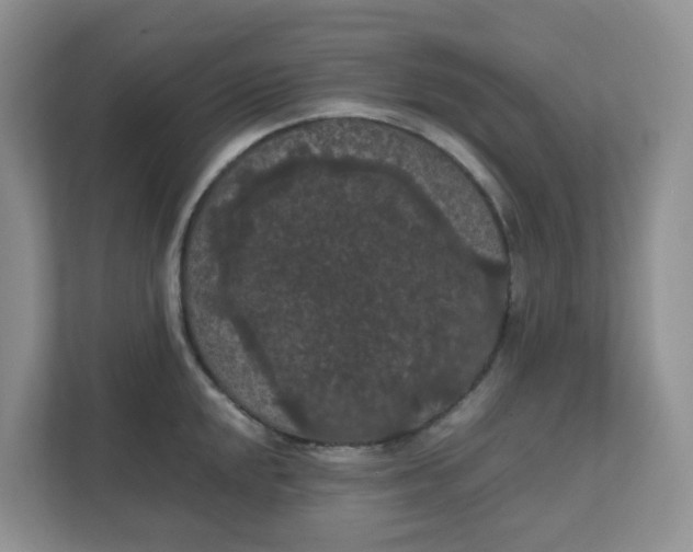 X0000111861048200908131455