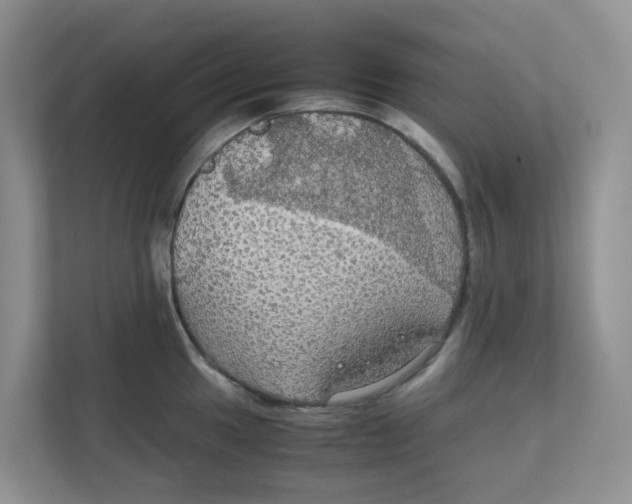 X0000111861049200908131455