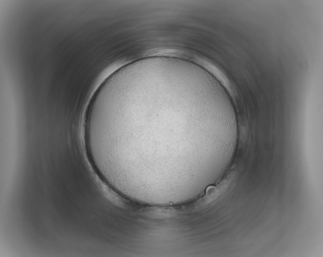 X0000111861050200908131455