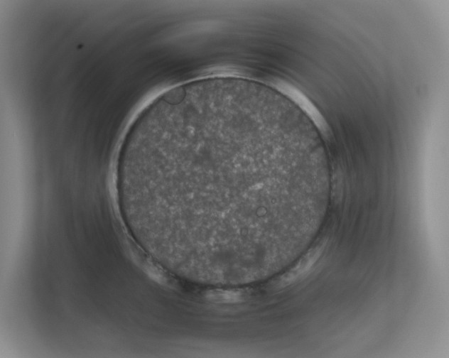 X0000111861051200908131455