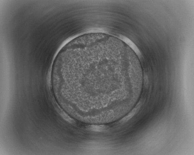 X0000111861052200908131455